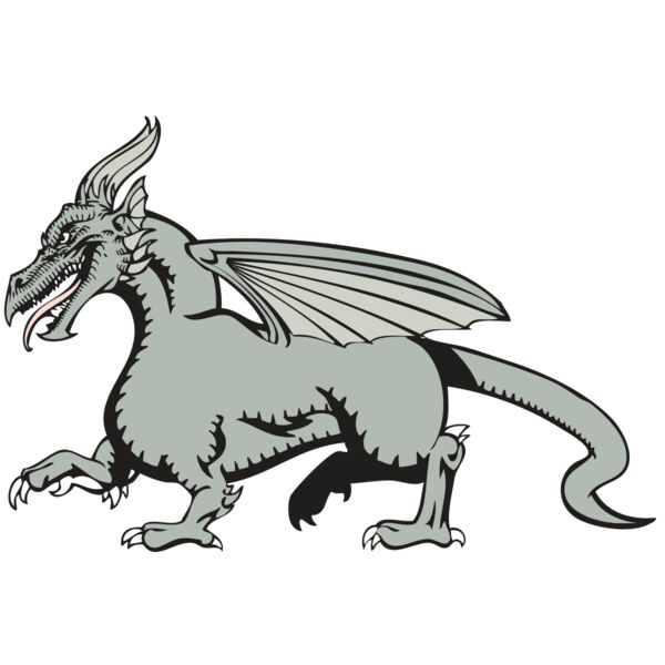 BAW DRAGON 20 RC Thumbnail